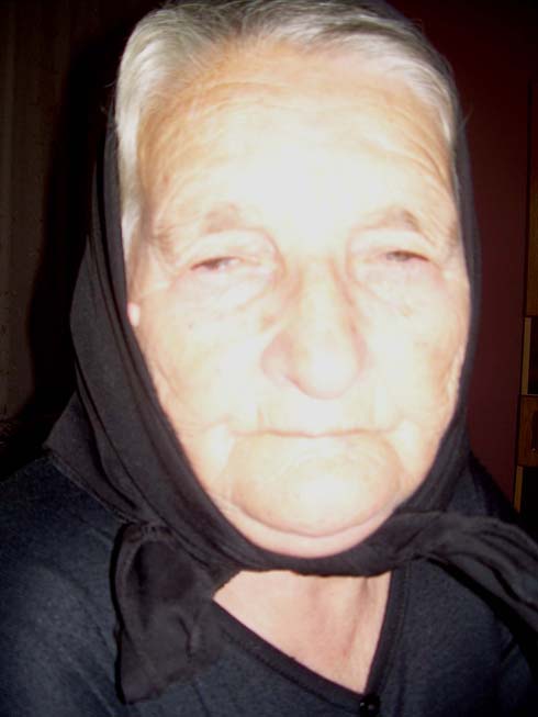 ���� ������